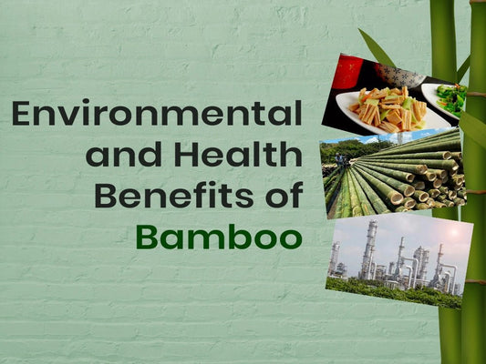 Environmental and Health Benefits of Bamboo - Meserii