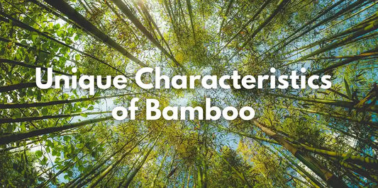 Unique Characteristics of Bamboo - Meserii