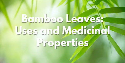 Bamboo Leaves: Uses and Medicinal Properties - Meserii