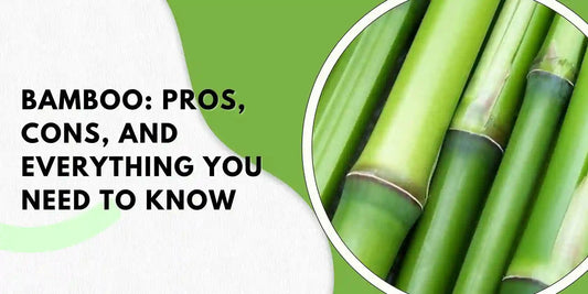 Bamboo: Pros, Cons, and Everything You Need to Know - Meserii