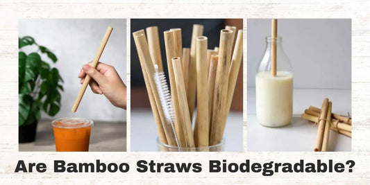 Are Bamboo Straws Biodegradable? - Meserii