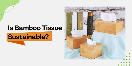 Bamboo Tissue Sustainability