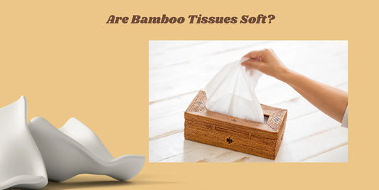 soft bamboo tissues