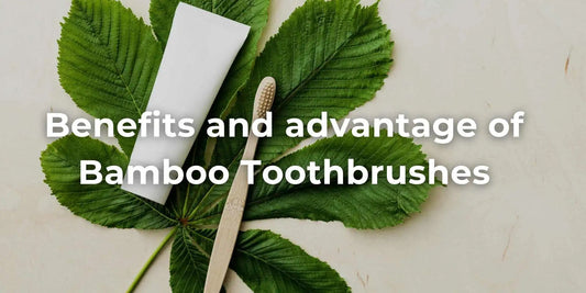 Benefits and Advantage of Bamboo Toothbrushes - Meserii