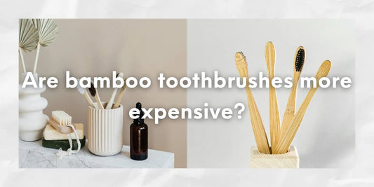 Are bamboo toothbrushes more expensive? - Meserii