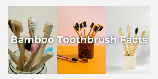 Bamboo Toothbrush Facts - Meserii
