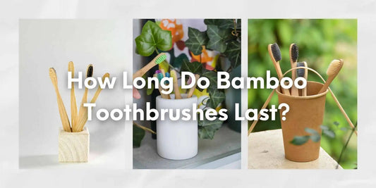How Long Do Bamboo Toothbrushes Last? - Meserii