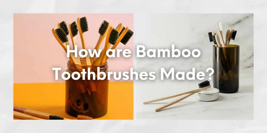 How are Bamboo Toothbrushes Made? - Meserii