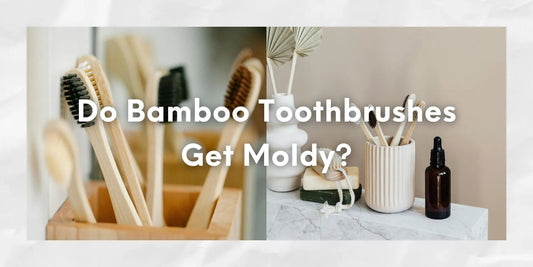 Do Bamboo Toothbrushes Get Moldy? - Meserii