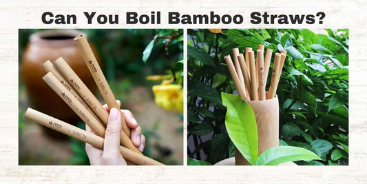 Can You Boil Bamboo Straws? - Meserii