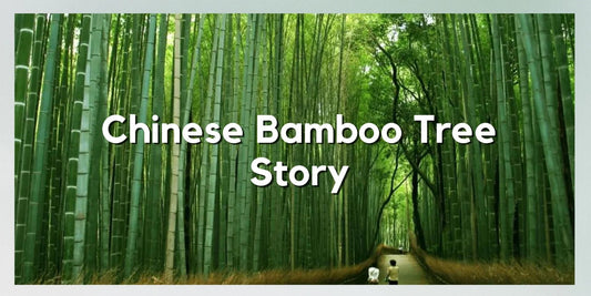 Chinese Bamboo Tree Story - Meserii
