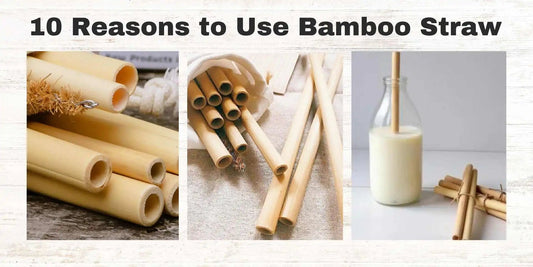 10 Reasons to Use Bamboo Straw - Meserii
