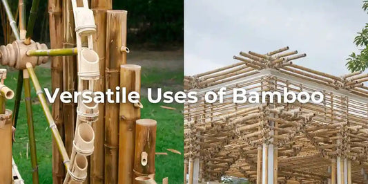 Versatile Uses of Bamboo - Meserii