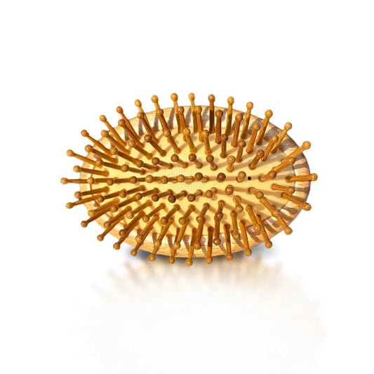 Eco-friendly bamboo hairbrush for all hair types, with detangle tail comb